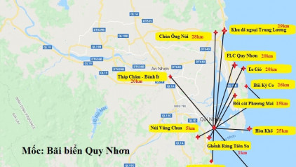 Cập nhật mới nhất bản đồ Quy Nhơn Phú Yên