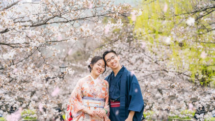 Hoa anh đào Nhật Bản – Chiêm ngưỡng mùa sakura đẹp nao lòng, làm say đắm du khách