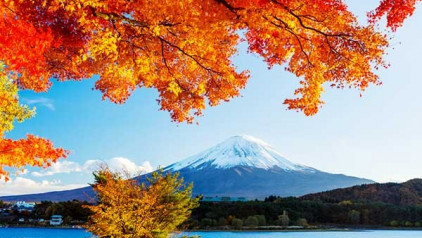 Top 5 điểm check-in đẹp nhất mùa thu Nhật Bản