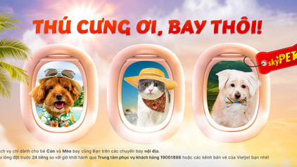 Vietjet Air: Bay cùng thú cưng với dịch vụ Sky Pet