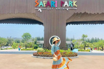 FLC Zoo Safari Park Quy Nhơn mở cửa lúc mấy giờ?