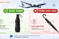GIẢI ĐÁP: Có được mang ô lên máy bay không?