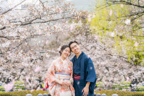 Hoa anh đào Nhật Bản – Chiêm ngưỡng mùa sakura đẹp nao lòng, làm say đắm du khách