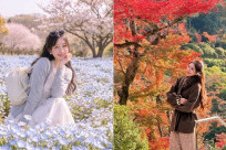 Kinh nghiệm du lịch Fukuoka Nhật Bản - Thành phố đáng sống nhất Kyushu