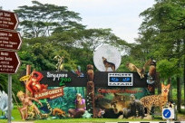 Kinh nghiệm khám phá Night Safari Singapore - Vườn thú đêm đầu tiên thế giới