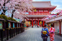 Kinh nghiệm săn vé máy bay từ Hà Nội đi Tokyo Narita giá rẻ