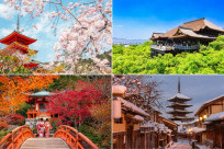 Kyoto mùa nào đẹp nhất? Cẩm nang thời tiết Kyoto theo tháng chi tiết