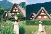 Làng Cổ Shirakawago: Cẩm Nang Khám Phá Di Sản Thế Giới Đẹp Như Tranh Ở Nhật Bản