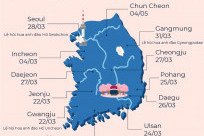 Lịch nở hoa anh đào Hàn Quốc 2023 và những hoạt động không thể bỏ qua