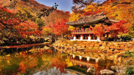 Những điểm du lịch nổi tiếng nào nên ghé thăm khi đi Hàn Quốc?