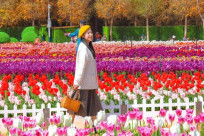 Review thời tiết Côn Minh chi tiết 12 tháng: Nên đi tháng nào đẹp nhất