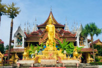 Tây Song Bản Nạp Trung Quốc: Cẩm Nang Du Lịch Từ A - Z Mới Nhất