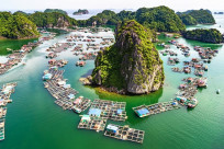 Tham quan Vịnh Lan Hạ - Thiên đường bị lãng quên