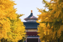 Thiên Đàn - Chiêm ngưỡng công trình kiến trúc cổ kính hơn 600 năm tuổi giữa lòng Bắc Kinh