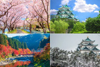 Thời tiết Nagoya Nhật Bản 12 tháng: Nên đi mùa nào đẹp nhất?