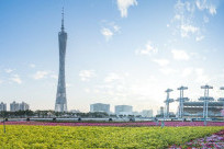 Thời tiết Quảng Châu mùa nào đẹp nhất? Gợi ý trải nghiệm ấn tượng theo từng mùa