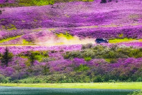 Thời tiết Shangri-La: Hướng dẫn du lịch theo mùa cho người đi lần đầu