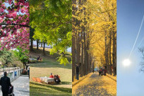 Thời tiết Thành Đô chi tiết 12 tháng: nên đi tháng mấy đẹp nhất?