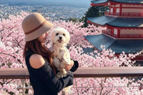Thời Tiết Tokyo Chi Tiết 12 Tháng: Mùa Nào Đẹp Và Dễ Đi Nhất?