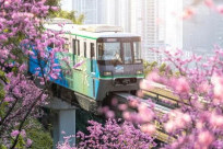 Thời tiết Trùng Khánh Trung Quốc - Du lịch mùa nào đẹp nhất?