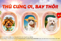 Vietjet Air: Bay cùng thú cưng với dịch vụ Sky Pet