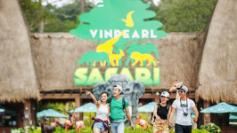 Kinh nghiệm đi Vinpearl Safari Phú Quốc MỚI NHẤT 2022