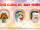 Vietjet Air: Bay cùng thú cưng với dịch vụ Sky Pet