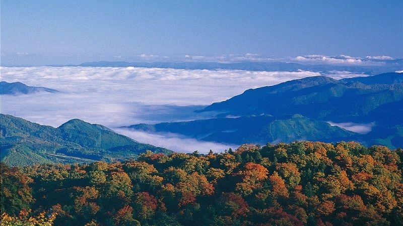 Akita phù hợp với du khách yêu thiên nhiên, văn hóa Nhật Bản