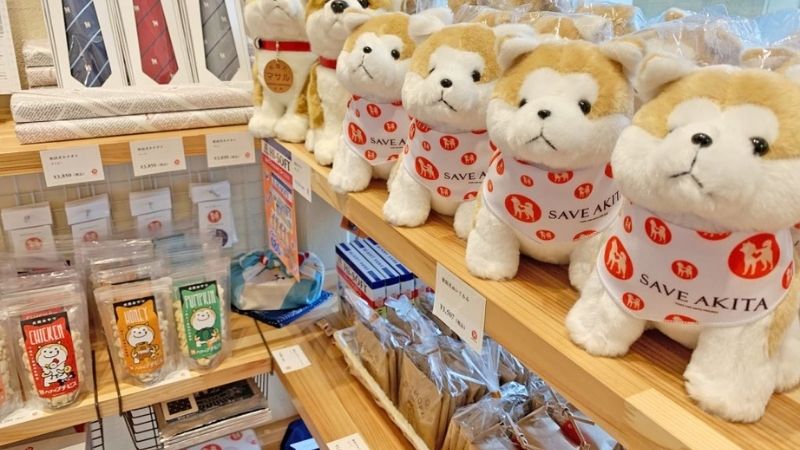 Đồ lưu niệm chó Akita Inu xinh xắn