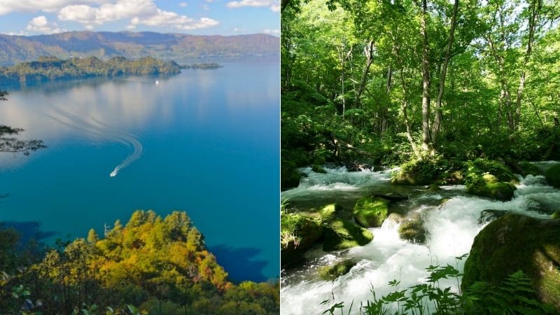 Hồ Towada và hẻm núi Oirase là những thắng cảnh nổi bật vùng Tohoku