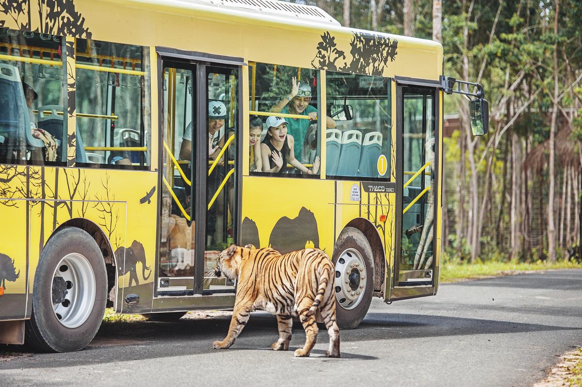 Khám phá Vinpearl Safari Phú Quốc bằng xe bus