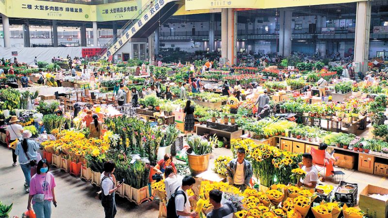 Tham quan chợ hoa Đấu Nam, cảm nhận nhịp sống địa phương