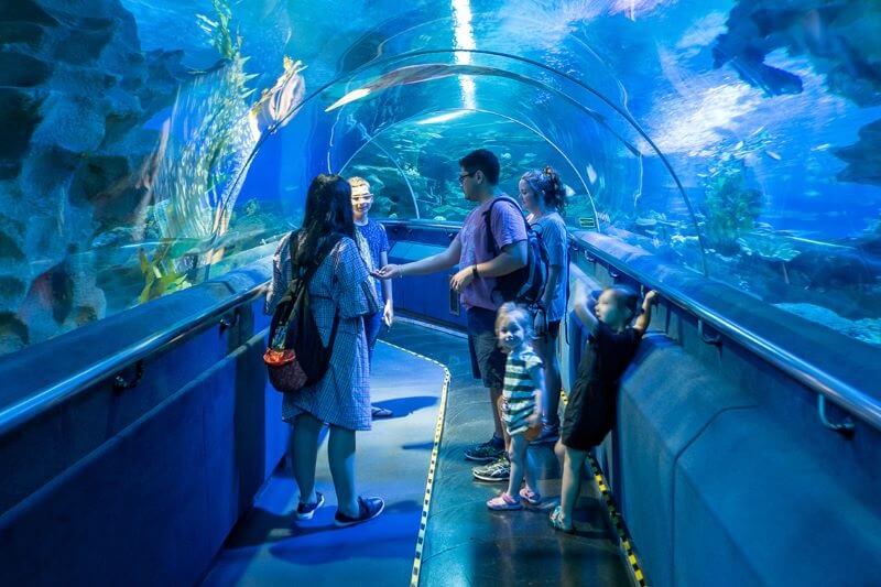 Thuỷ cung Aquaria KLCC ở Malaysia