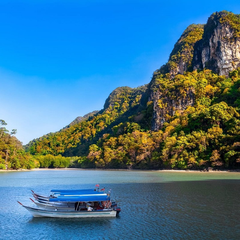 Khám phá rừng ngập mặn Tanjung Rhu