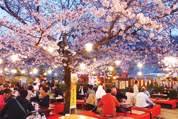 Lễ hội Hanami tại Nhật Bản