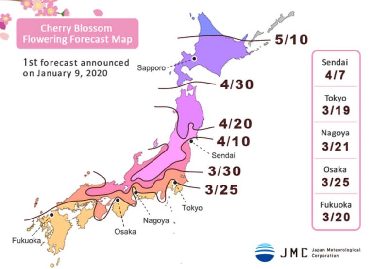 Dự báo mùa hoa anh đào 2019 của Công ty Khí tượng Nhật Bản