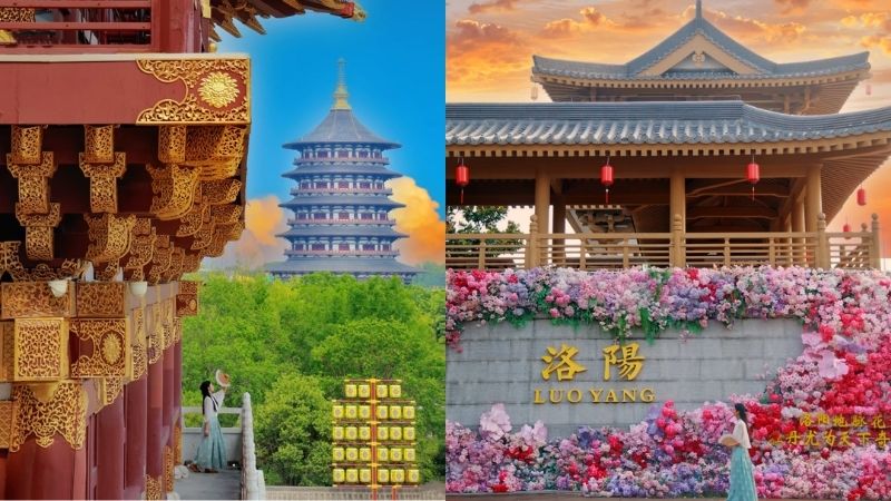 Check in cảnh sắc m&ugrave;a h&egrave; ở Lạc Dương (Ảnh: XHS@收藏佳)