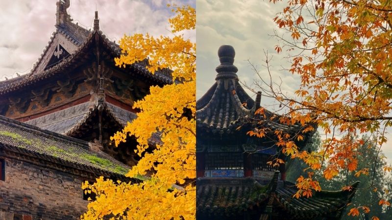 Đắm ch&igrave;m trong sắc thu v&agrave;ng tại Đền Bạch M&atilde;, Lạc Dương (Ảnh: XHS@Whimsy)