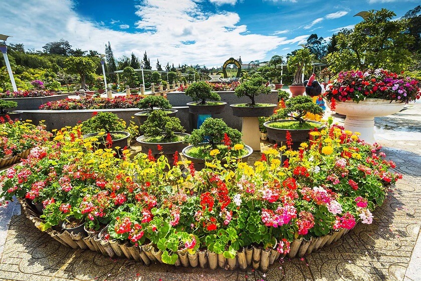 Vườn hoa thành phố Đà Lạt