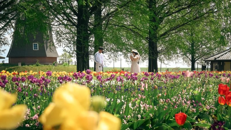 Check-in mùa hoa tulip lãng mạn tại Chiba