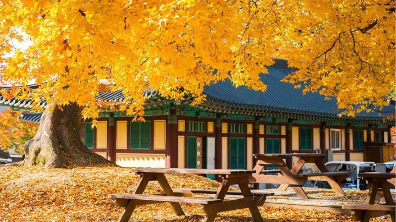 Du lịch Hàn Quốc mùa thu tại công viên quốc gia Juwangsan