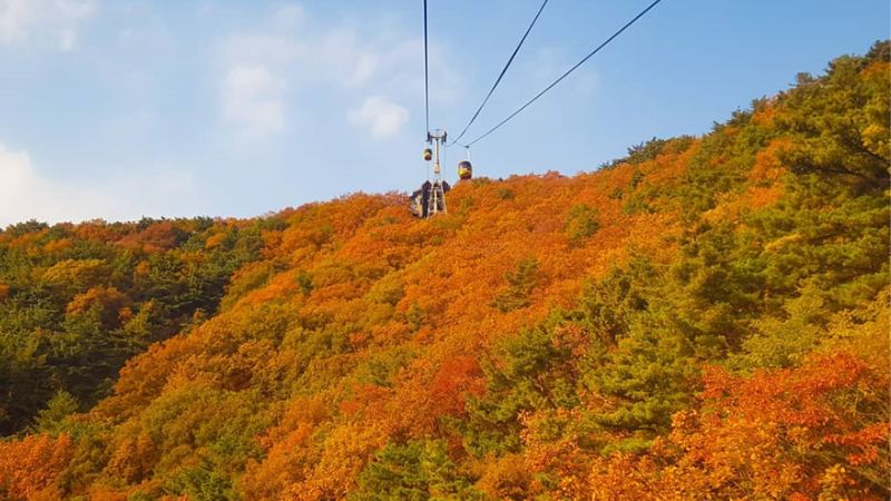 Núi Palgongsan mùa lá đỏ Hàn Quốc