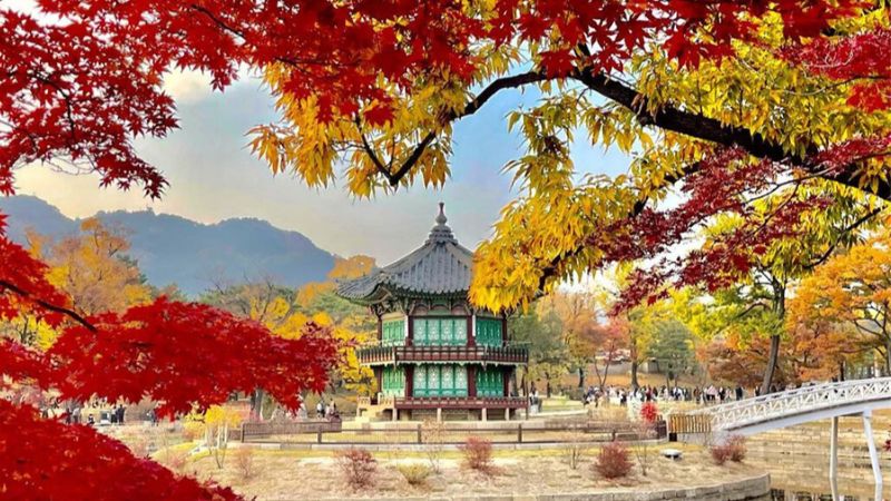 Du lịch Hàn Quốc mùa thu với lá đỏ rực rỡ