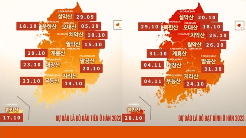Lịch lá đỏ Hàn Quốc năm 2023