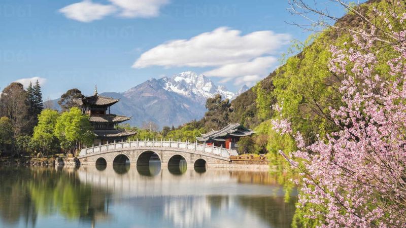 Từ 7:00 - 9:00 l&agrave; khung giờ v&agrave;ng để thăm Hắc Long Đ&agrave;m