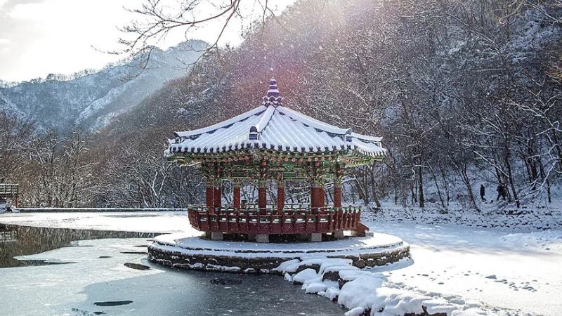 Du lịch Hàn Quốc mùa đông với những bông tuyết phủ kín