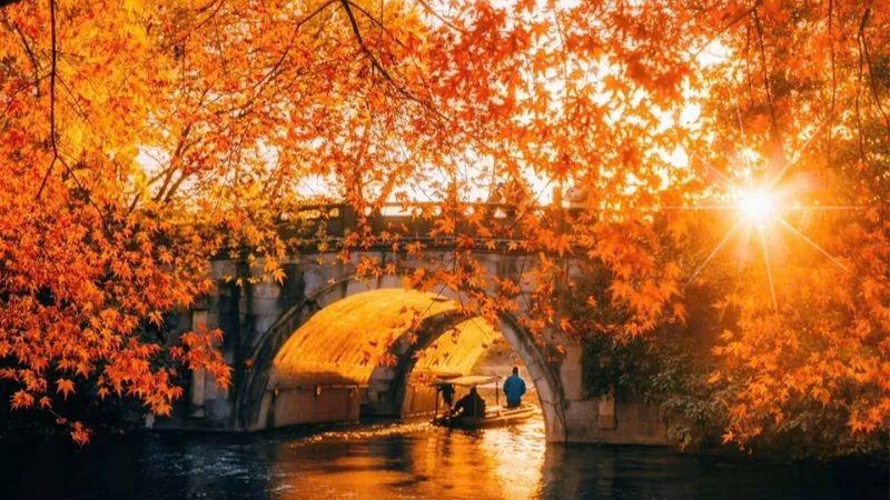 Mùa thu là thời điểm lý tưởng nhất để du lịch Hàng Châu