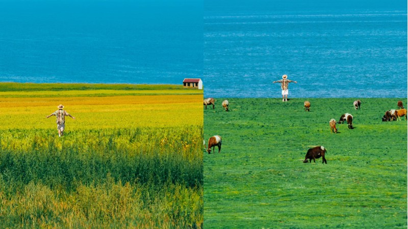 Hồ Thanh Hải là điểm đến không thể bỏ qua trên cung đường Tây Bắc Trung Quốc