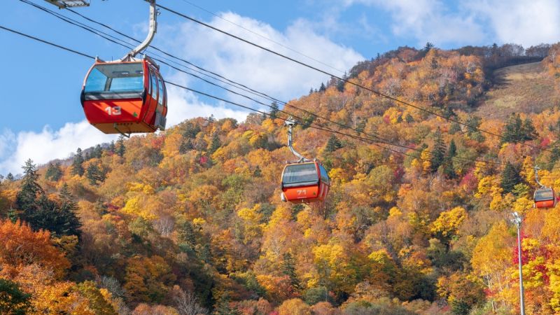 Hokkaido là nơi đón mùa thu sớm nhất Nhật Bản