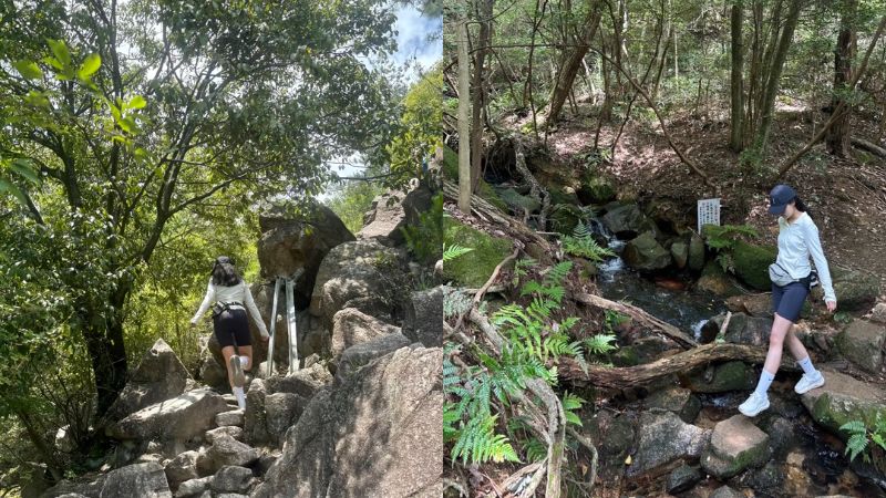 Trekking Núi Rokko hòa mình vào thiên nhiên